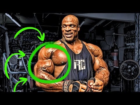 The Secret Truth Behind the Evolution of Bodybuilding