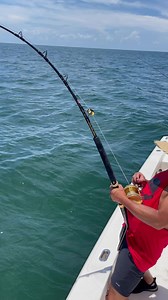 Goliath grouper #fishing #florida #naples #fishingcharter | Jason Diver