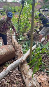 4.1M views · 22K reactions | This is just smart. | Seputar Gumelar | Facebook