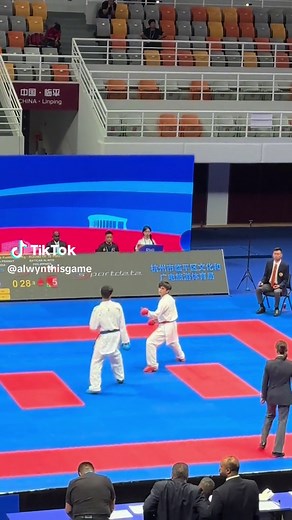 Karate Kumite Highlights and Martial Arts Competition