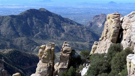 DJI_20251117122546_0008_D