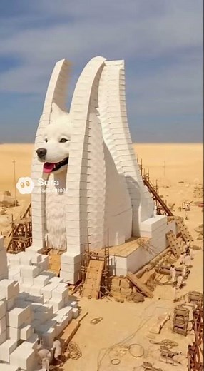 The Dog Sphinx: Fluffy Surprise in the Desert