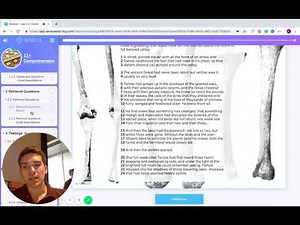 11+ Comprehension - All you need to know for the exam!