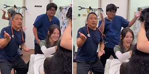 Vet techs in Hawaii break out the dance moves to distract a nervous dog during a blood draw