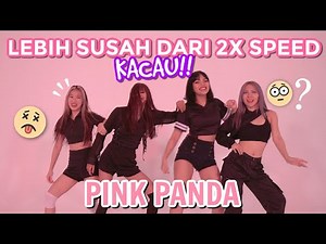 PINK PANDA ROLLER COASTER SPEED DANCE CHALLENGE!