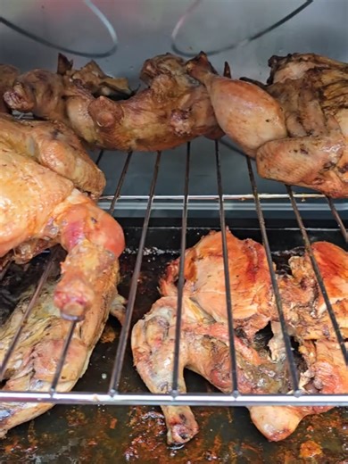 Transform Your Kitchen with TLAC Electric Oven