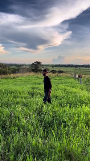 Man Riding a Cow in a Scenic Rural Landscape