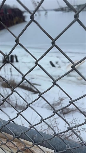 Mice Electric LLC (@miceelectricllc)’s videos with original sound - Mice Electric LLC