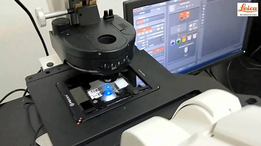 Leica DMi8手动版硬件介绍及基本操作