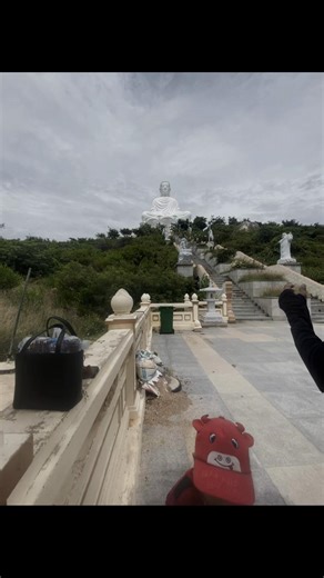 tôi gặp em trong ánh đào vàng… #xhtiktok