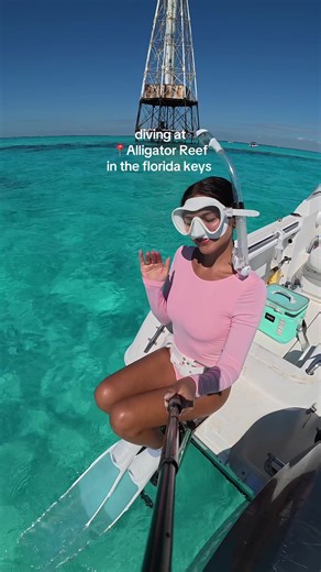 the best dive i’ve had in so long🤿🩵🐠 wearing @Coral Swimwear X 💗 #ocean #oceanlife #underwater #freediving #floridakeys