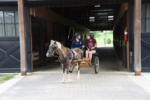About | Stewart Home & School | Central Kentucky Residential School