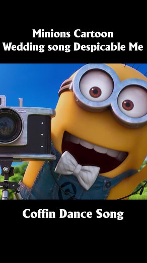 Minions Wedding Song Dance Compilation