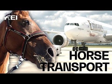How the horses travel to the FEI World Equestrian Games™ | Tryon 2018