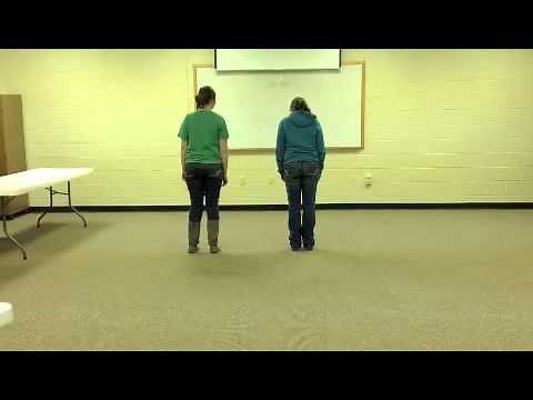 Kung Fu Fighting Line Dance Instruction