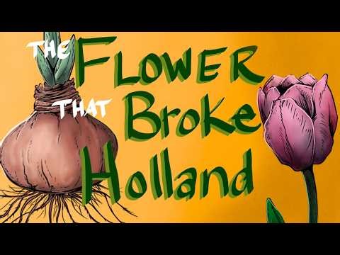 Tulip Mania - The Flower That Broke Holland... and why it keeps happening!