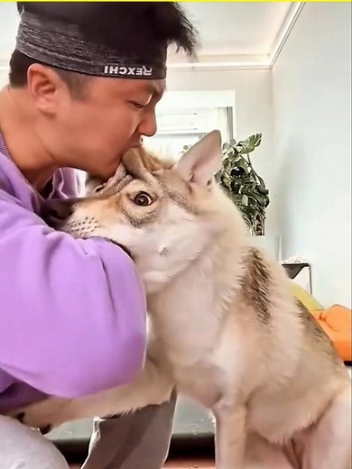 How Rabies Is Transmitted to Humans