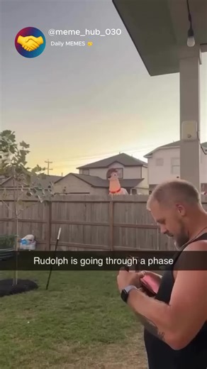 Follow🤝IG:@meme_hub_030🤝 l #viral #humor #comedyvideos #funnyvideos #meme