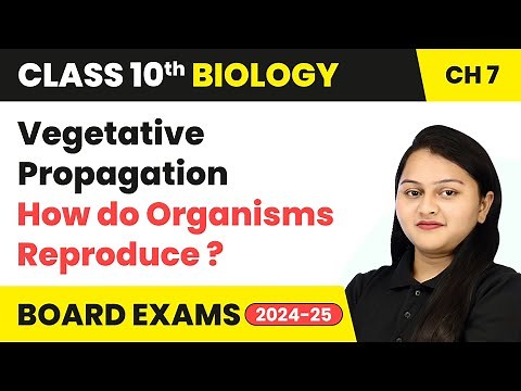 Vegetative Propagation - How do Organisms Reproduce | Class 10 Biology Chapter 7 | CBSE 2024-25