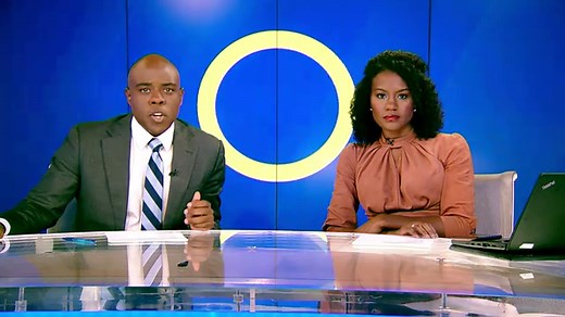 Scientists hint at earth-like planet 110 lightyears away