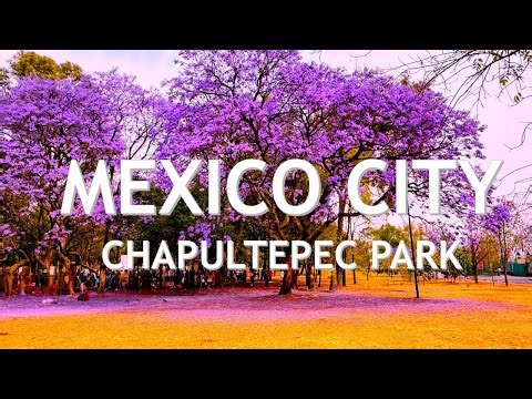 Mexico City Chapultepec Park - Complete Travel Guide and Hidden Gems