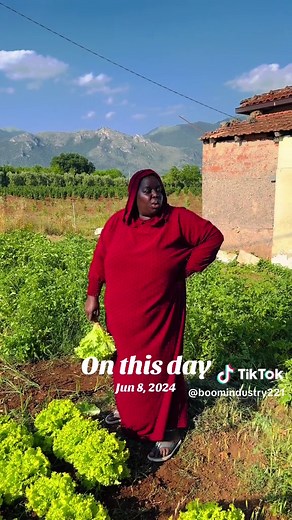 Boom Industry 2024: Insights and Trends