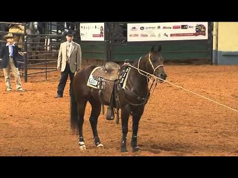 2012 AQHA World Championship Show, Part 2
