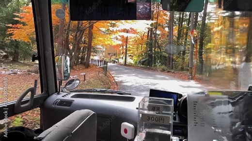 Slo mo POV through bus window driving through corridor of autumn trees