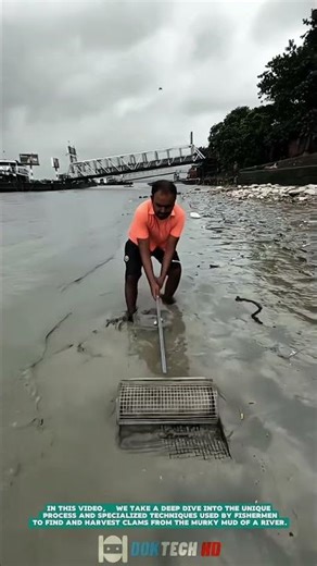 Traditional Tools for Catching Fish in Mud- Satisfying jobs and machinery in the world