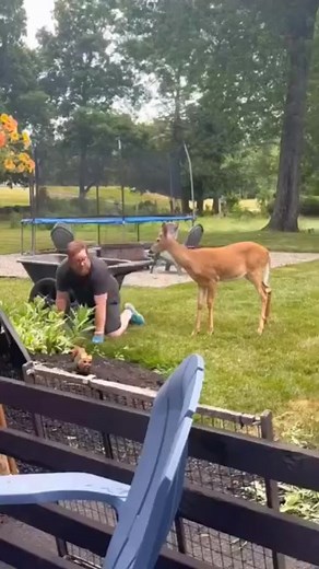 These people found a big surprise in their backyard 😂 #BackyardSurprise #UnexpectedFind #BigReveal #SurpriseDiscovery #BackyardAdventure #HiddenTreasure #PlotTwist #SurpriseFind #BackyardJoy #DiscoveryMom~ | Brandon Parker