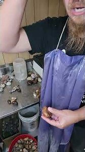 Cutting My Biggest Agate Ever (BAE) – Shocking Reveal Inside!