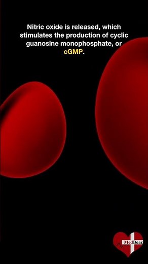 How does Viagra works?😱💊 #Viagra #sildenafil #erectile_dysfunction