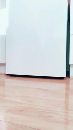 Stylish Sandals Showcase for Fashion Lovers