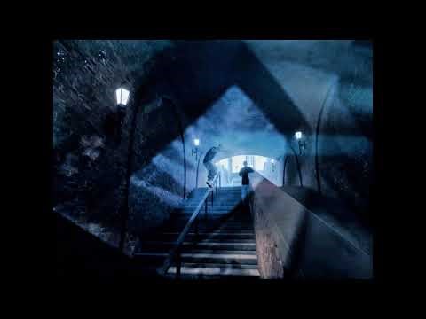 chia seeds (@prodzelkova)