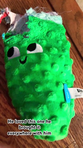 Oliver’s late Christmas haul 🤦‍♀️#foryou