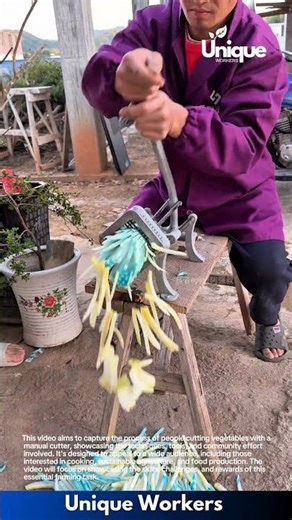 Vegetable cutter machine: people cutting vegetables with a manual cutter