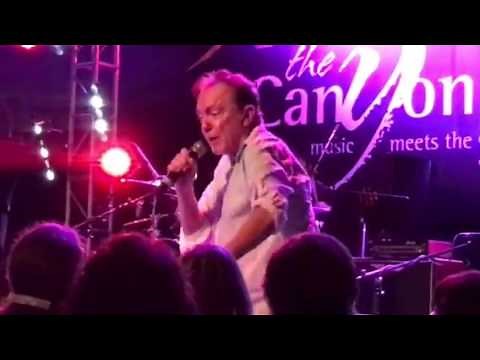 David Cassidy - Final I Think I Love You