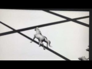 Opening to Spirit: Stallion of the Cimmorron 2002 DVD