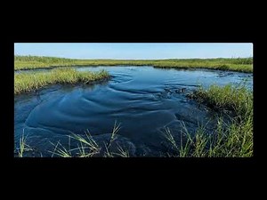 The Soft Quicksand Lake: Cozy Sinking ASMR