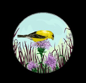 Native Plant Nursery | Dropseed Native L...