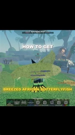 How to get the breezed african butterflyfish! #roblox #fisch #robloxfisch #fischupdate #fyp #viral