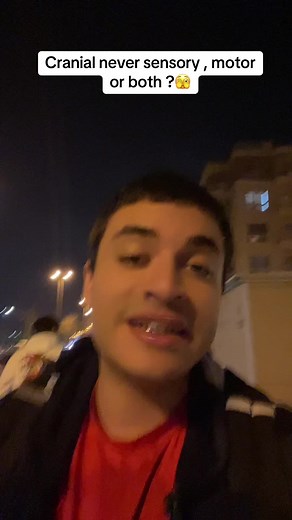 Cranial Nerves Mnemonics for Medical Students