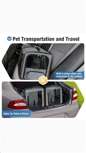 Traveling with Your Cat Made Easy!