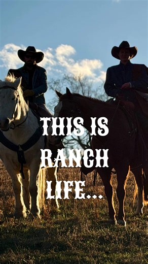 Ride the trails. Slow down and reconnect. Share stories by the fire. All just a short gallop from Chattanooga, TN. #horses #horseriding #horsetok #duderanch #farmstay