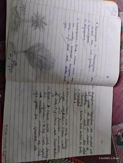 class 9 chapter 7 Diversity in living organisms