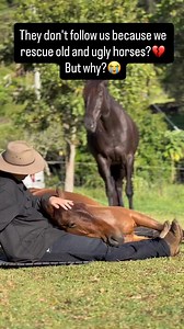 So heart broken 💔 Sometimes we don’t get followed because we rescue the ones others overlook—the old, the sick, the injured, the ‘unpretty.’ These horses may not look perfect, but their stories matter just as much. By sharing our page, you help their stories reach kind hearts who believe every life has value, not just the beautiful ones. Even one share helps us be seen and gives these souls a chance 🤍🙏 | Equine Rescue Barn