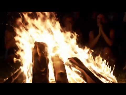 🌊 Reggae Life Live - Classic Roots, Smooth Dub, and Chill Caribbean Groove All Night