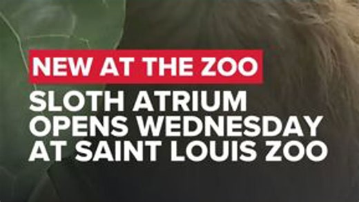 New sloth habitat opens at the Saint Louis Zoo