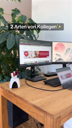 Wir sagen „Kreative Arbeitsplatzgestaltung“ dazu🙈#allnatura #büro #alltag