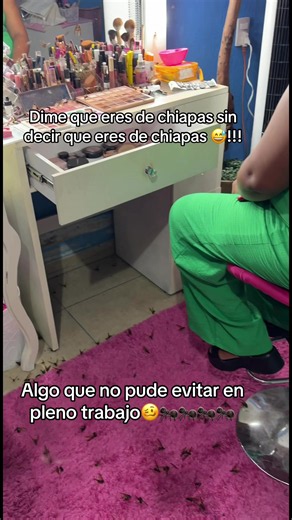 Dime que eres de Chiapas sin decir que eres de Chiapas — hormigas chicatanas